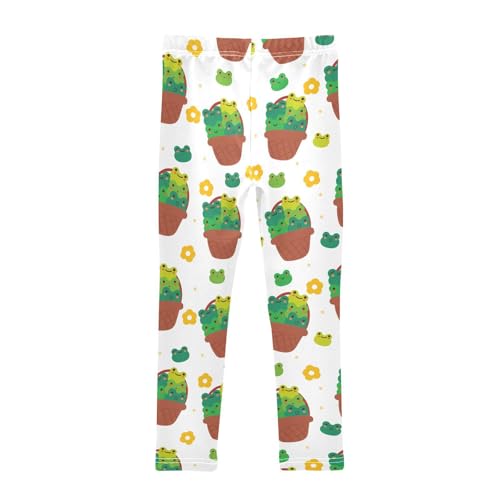 ZZKKO Girls Leggings Cartoon Frogs Inside A Basket Toddler Girls Clothes Leggings for Girls Toddler Girls Leggings 3-4T2
