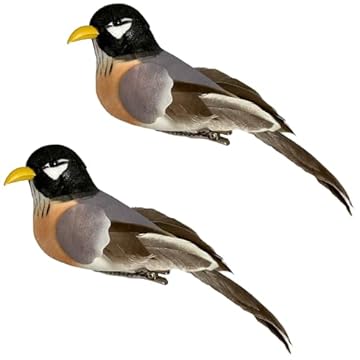 best birdhouses for american robins that will surprise you 1 best birdhouses for american robins