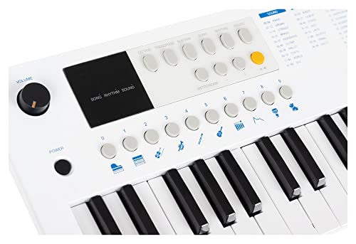 Clavier MINI-37 Classic Cantabile blanc-bleu à 37 mini-touches - 7