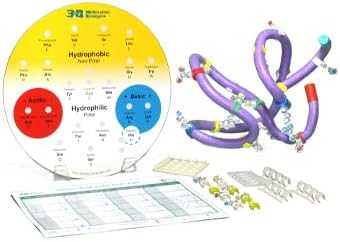 Amino Acid Starter Kit© 5-Group Set