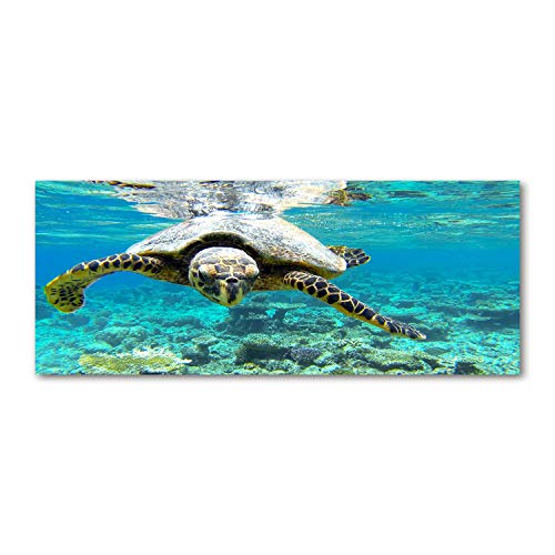 Tulup Impression sur Verre 125x50 cm Image Tableau Photo décorative panoramique pour la Cuisine et Le Salon - Animaux - Tortue De Mer - Bleu