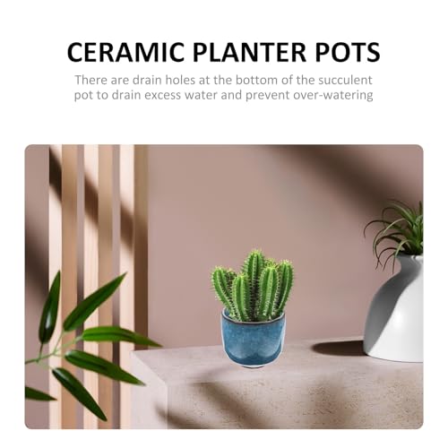 Pots de fleurs en céramique pour succulentes, cadeau idéal pour les proches - 7