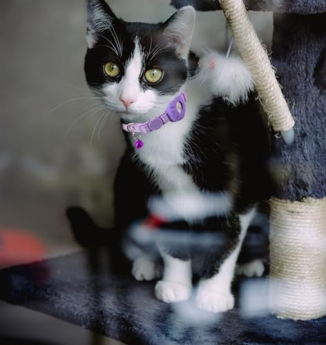 Image of Airtag Cat Collar Breakaway, Safety Kitten Collar with Apple Airtag Holder,Cute GPS Cat Collar with Bell[Purple], Lightweigh Tracker Cat Collars for Girl Boy Cats, Kittens and Puppies