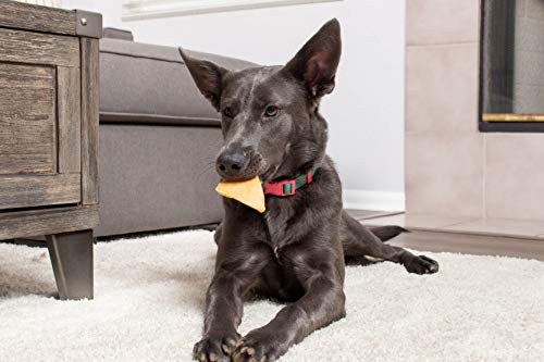 Wild Eats Water Buffalo Cheek Chips & Dog Chews - 4Oz Bag (Healthy Alternative For Beef Rawhides For Dogs, Natural Dog Treat, Grain Free Dog Treat) #TOP2
