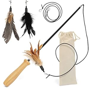 St.Pawly® Katzenangel – Katzenspielzeug – austauschbare Anhänger – Ersatzband – ergonomischer Holzgriff – nachhaltiges Spielzeug für Katzen – stabil