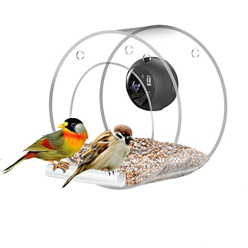 Guide To The Best Camera For Bird To Buy Online
