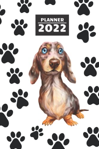 Planner 2022: Weekly, daily, simple Dachshund planner 2022. Simpe organizer Dachshund 2022. Planning. Notebook for dogs fans. Gift for Dachshund ... of space for notes. Calendar 2022 Dachshund.