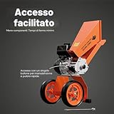 Forest Master B084P29NFF lato 4