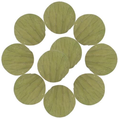 LALAFINA Loto Secas Redondas 20 Cm 100 Unidades para Envolver Alimentos, Natural para Sushi y Dim Sum, Accesorios para Cocina y Fiestas