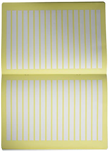 Herlitz - Quaderni formato A4, 32 pagine, a righe
