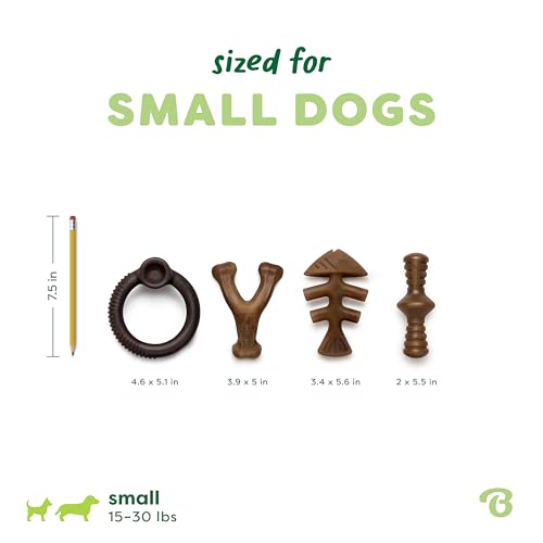 Image of Benebone Limited Edition Blueberry Small 4-Pack Dog Toys for Aggressive Chewers, Durable Dog Bones, Made in USA, Dog Toys for Small Dogs Under 30 lbs
