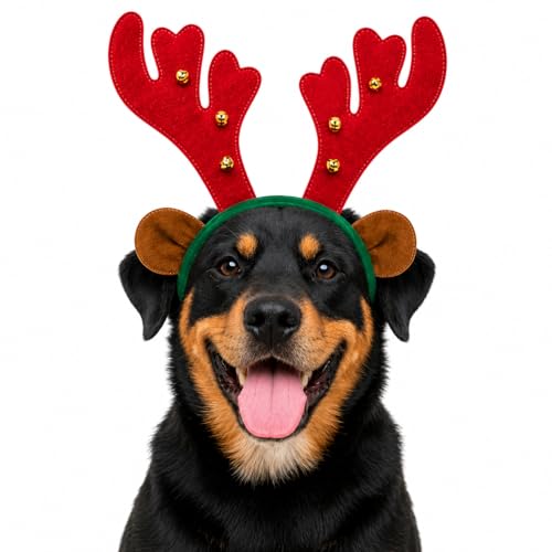 Disfraz Navidad para Perros Medium-Large Cuernos Reno