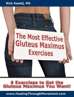 The Most Effective Gluteus Maximus Exercises