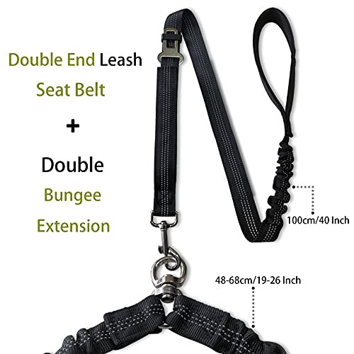 Best Dog Double Leashes Buying Guide Gistgear