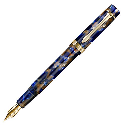 Stylo plume en résine bleue Asvine LIY avec convertisseur d'encre et plume fine Schmidt