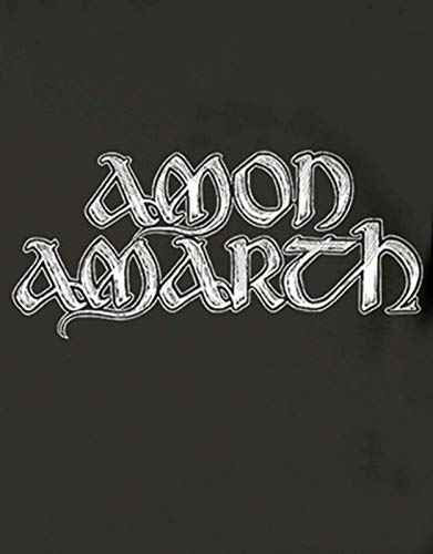 Sweat à capuche Amon Amarth gris pour affronter le froid - 3