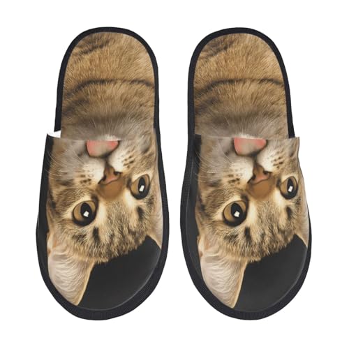 [zhandiffy]  L j~pXbp tH[jpXbp M