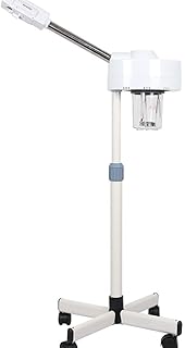 Aromathérapie du visage Steamer 750W professionnel autoportant visage chaud Mist ozone Humidificateur à vapeur ionique Accueil Beauté Salon Rajeunir Et Hydrater Visage peau