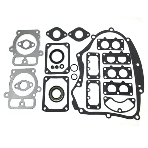 Kit de joint de moteur 694012 pour stopper les fuites du modèle 499889