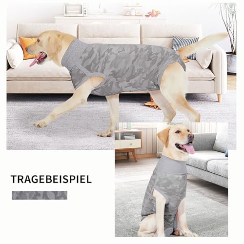 InfiniZer Hundebody Nach Op Medizinischer Body für Hunde Kastration Hündin Rüde Operationsbody Hund Body Nach Op Body Hund Shirt Leckschutz Wundschutzanzug für Hunde Einteiler Schlafanzug (Grau, XS)