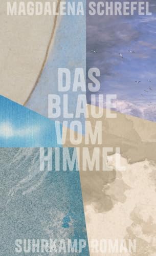 Das Blaue vom Himmel: Roman | Was, wenn es die Möglichkeit gäbe, die Erde abzukühlen, der Himmel dadurch aber für immer sein Blau verlieren würde?