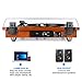 1byone Belt Driven Turntable with Built in Stereo Speaker, Wireless Connection Vintage Style Record Player, Vinyl to MP3 Recording, Natural Wood