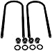 Dorman 929-768 Rear Leaf Spring Axle U-Bolt Kit Compatible with Select Ford Models