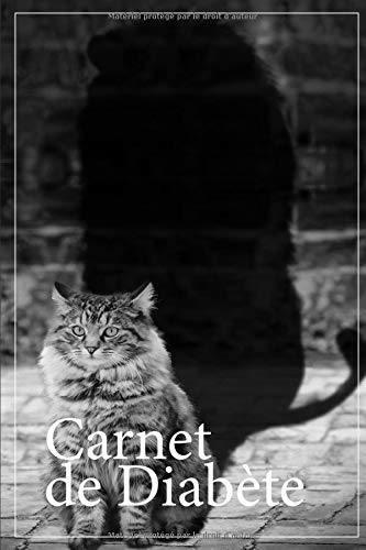 Télécharger Carnet de Diabète: Carnet diabetique avec suivi de Glycémie sur 53 semaines | 111 pages, 15,24 x 2 PDF