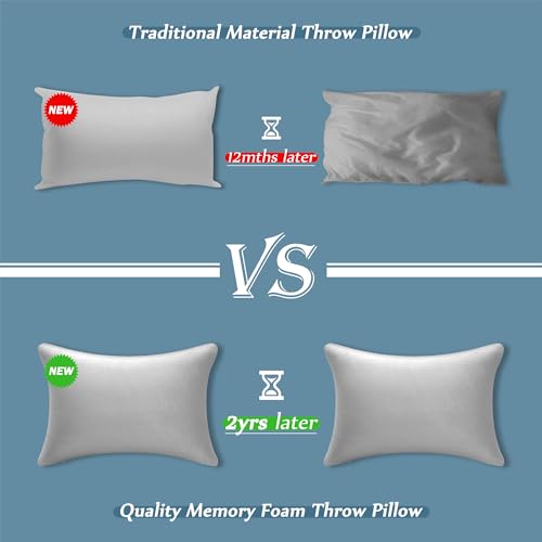 Image of AM AEROMAX 20 x20 Pillow Insert (Pack of 2) Memory Foam Throw Pillow Insert Sham Square for Decorative Cushion Bed Couch Sofa Without Deform After Longtime Use(Grey)