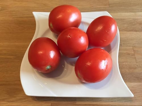 Pomodoro Roma 10 semi