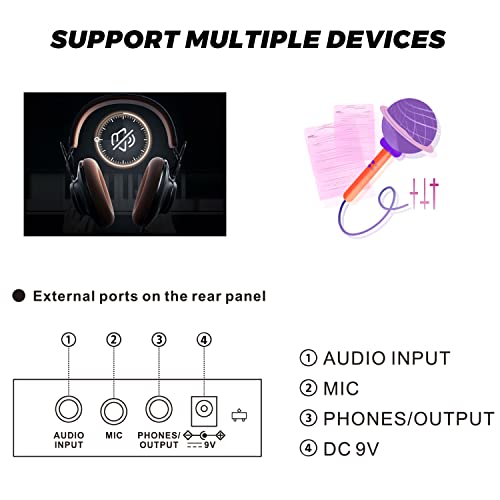 Aodsk Keyboard Piano For Beginners Electric Keyboard 61Key With Lcd Display Kit For Professional,255 Sounds,Microphone,3.5Mm Jack And 24 Demo Songs #TOP4