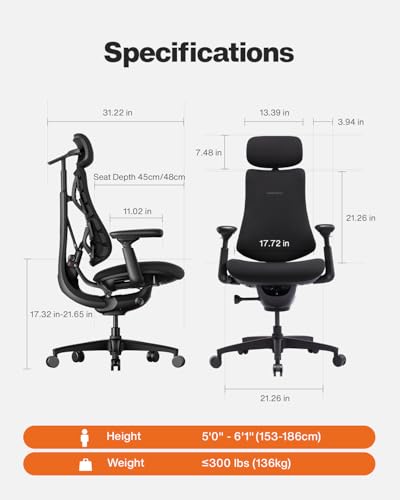 libernovo omni chair review
