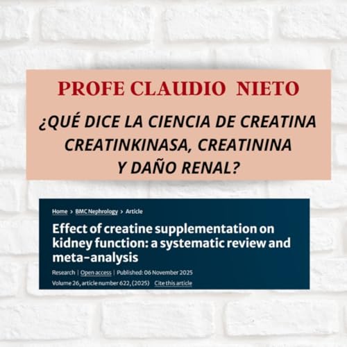 278. &iquest;LA CREATINA DA&Ntilde;A EL RI&Ntilde;&Oacute;N? POR QU&Eacute; LA CREATININA TE ENGA&Ntilde;A