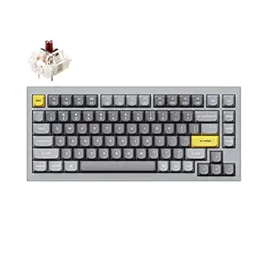 Keychron Q1 75% Layout RGB Hot-swappable Wired Custom Mechanical Keyboard, QMK/VIA Programmable Macro with Gateron G Pro Brown Switch Double Gasket Compatible with Mac Windows Linux (Grey) -Version 2