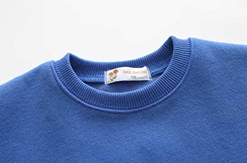 Toddler Baby Outfit Crewneck Cartoon Graphic Sweatshirt Long Sleeve Pullover Clothes for Kid Girl or Boy (A, 5-6 Years)3