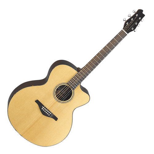 アコースティックギターw.carter