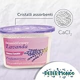 Zoom IMG-1 determondo 12 deumidificatore profumato lavanda Zoom IMG-1 determondo 12 deumidificatore profumato lavanda