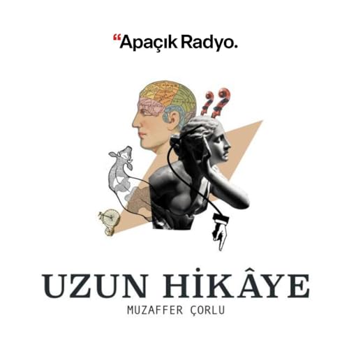 Uzun Hik&acirc;ye cover art