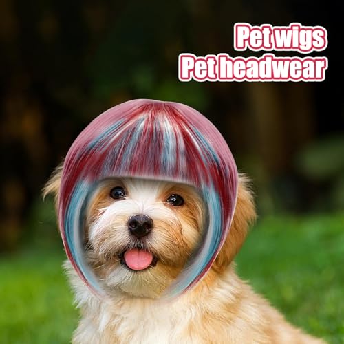 Ruzimiv Pet Wig For Cat | Jt L 蕨  |  LN^[ RXv wbhEFA ~ | j V[ nEB NX}X ʐ^Be ƑcR