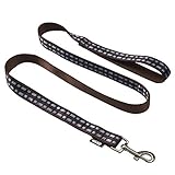 Star Wars Chewbacca Hundeleine für alle Hunde, 183 cm, niedliche Hundeleine lässt Sich leicht an jedem Hundehalsband oder Geschirr befestigen | Offiziell lizenzierte Star-Wars-Hundeleine 1,82 m