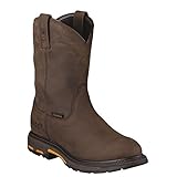 ARIAT