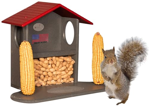 JCs Wildlife Ultimate Small Squirrel Snack Station - Feed Dried Corn, Peanuts and More to Backyard Squirrels - Made in the USA