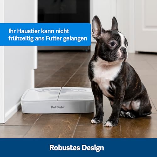 PetSafe Futterautomat für 2 Mahlzeiten, Haustiersicheres Design, Für trockenes Hunde und Katzenfutter, Grau, 1 Stück (1er Pack).