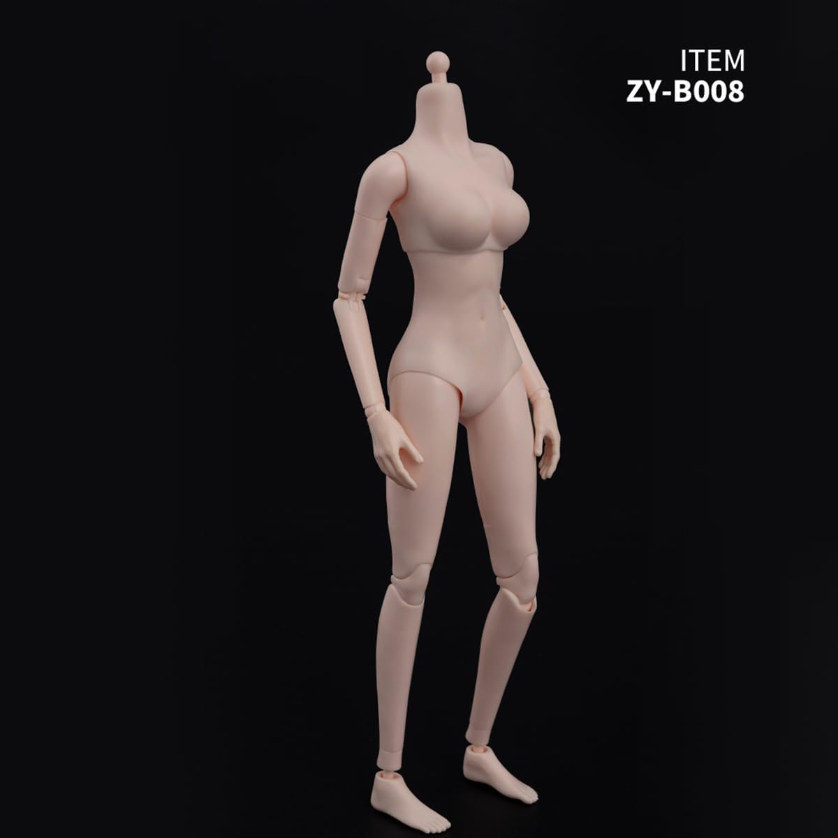 Amazon | HiPlay ZYTOYS 1/6 半シームレス女素体 ZY-B008 中胸版 女性