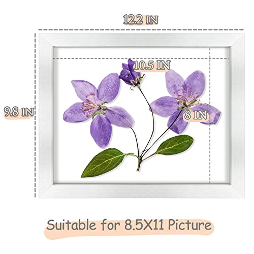 Frametory, 8.5X11 Picture Frame With Glass, Tabletop & Wall Horizontal Or Vertical Display, 8 1/2 X 11 Photo Frame For Diploma, Documents (Silver, 4-Pack) #TOP4