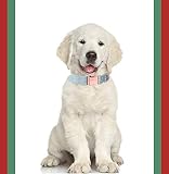 ARING PET Hundehalsband und Leine Set, Samt Hundehalsband und Leine, Verstellbares Halsband für Kleine Hunde Mittlere Hunde Große Hunde