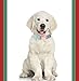 ARING PET Dog Collar and Leash, Velvet Dog Collar and Leash Set, Soft & Comfy, Adjustable Collars for Dogs