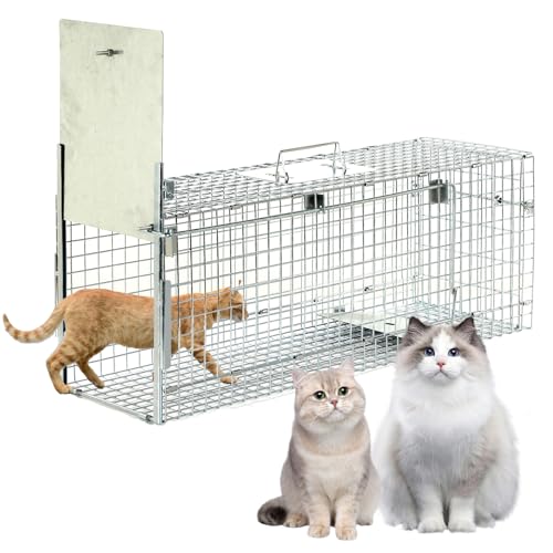 32C`̃Aj}gbvP[WAǔLAACO}AA}WAETMp̐܂肽ݎgbvP[W