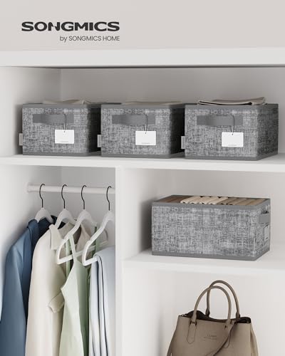SONGMICS Aufbewahrungsbox 3er Set, zusammenklappbar, Stoffboxen aufbewahren, 30 x 20 x 15 cm, für Kleiderschrank, 2 Griffe, Etikette, für Schlafzimmer Wohnzimmer, schilfgrau ROB415G01