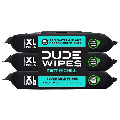 DUDE Wipes Mint Chill Flushable Wipes -...